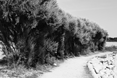 JLHenrion-2025-09-L2-Chemin-faisant